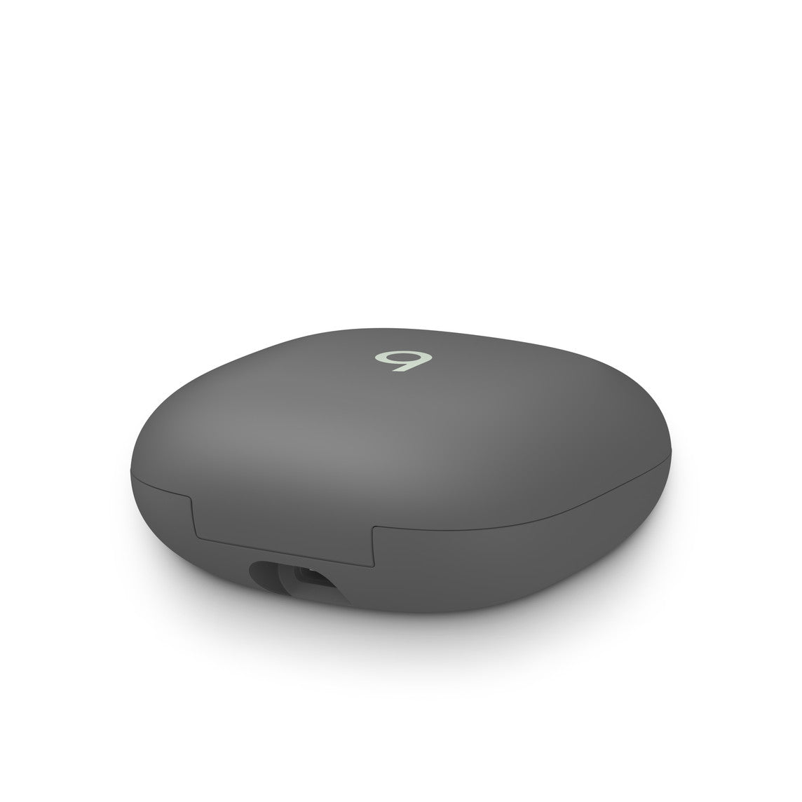 NEU - Beats by Dr. Dre Fit Pro Ladecase